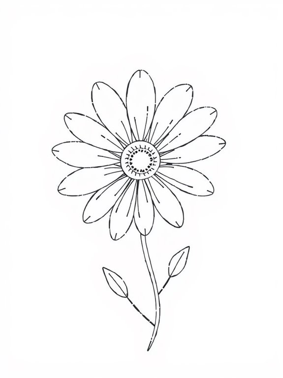 beautiful daisy flower drawing