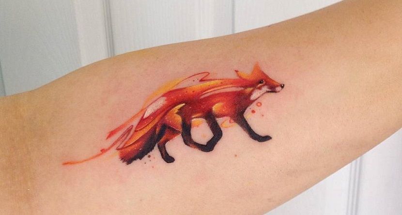 Vibrant Fox Elegance