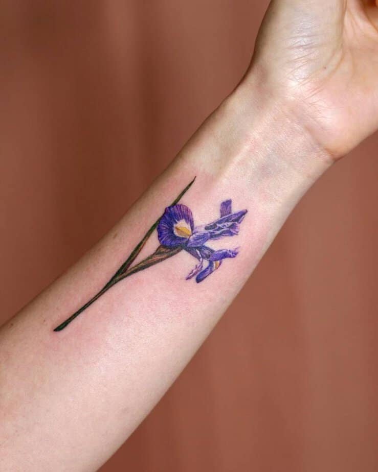 20 Iris Tattoo Ideas That Are Simply Petal Perfect