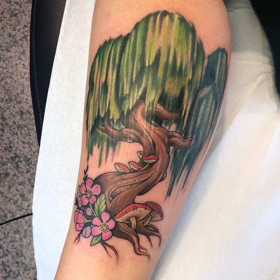 Colorful weeping willow with blossoms