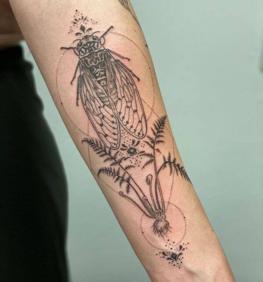 20 Cicada Tattoo Ideas That Will Have You Buzzing With Style