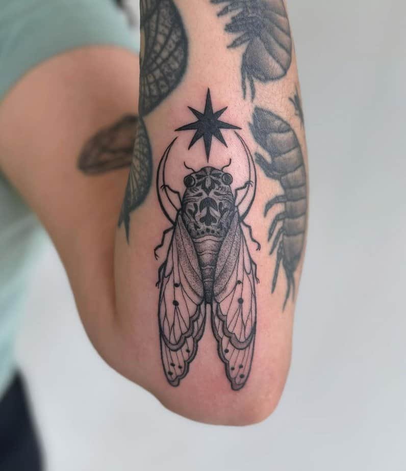Cicada with a star above