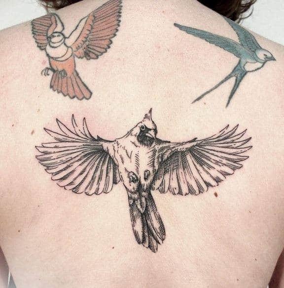 Detailed linework of a flying cardinal