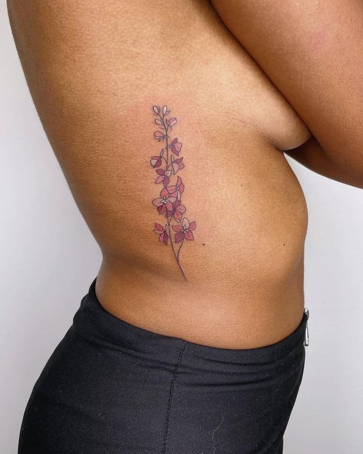 Pops of pink larkspur on the ribs