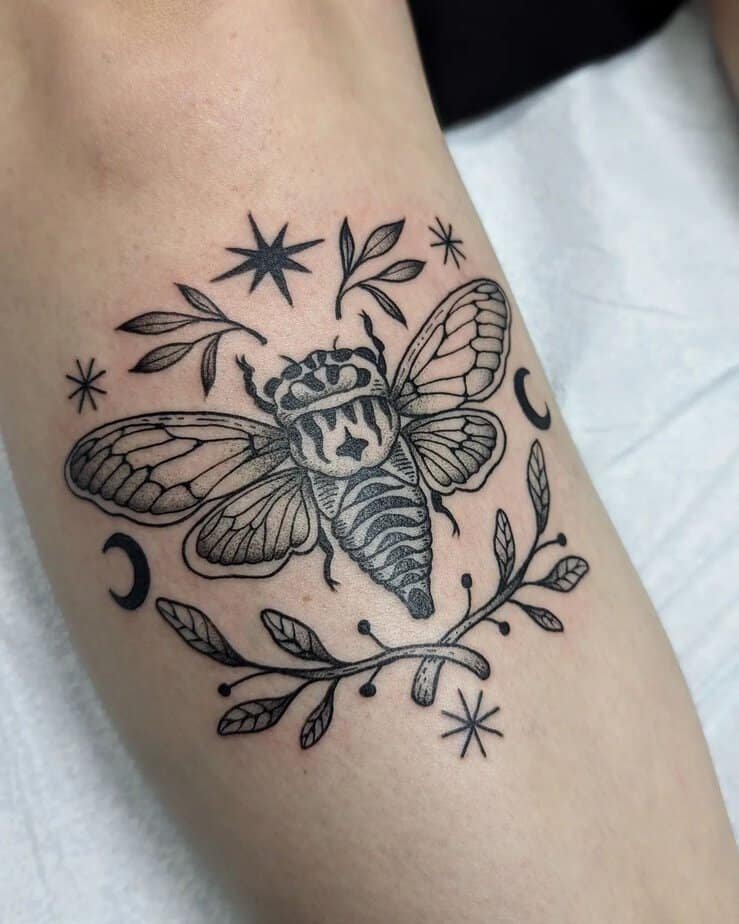 Cicada with stars and branches