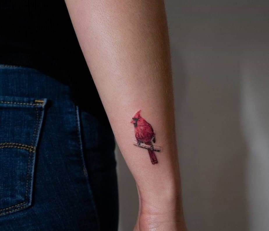 Small realistic cardinal on forearm