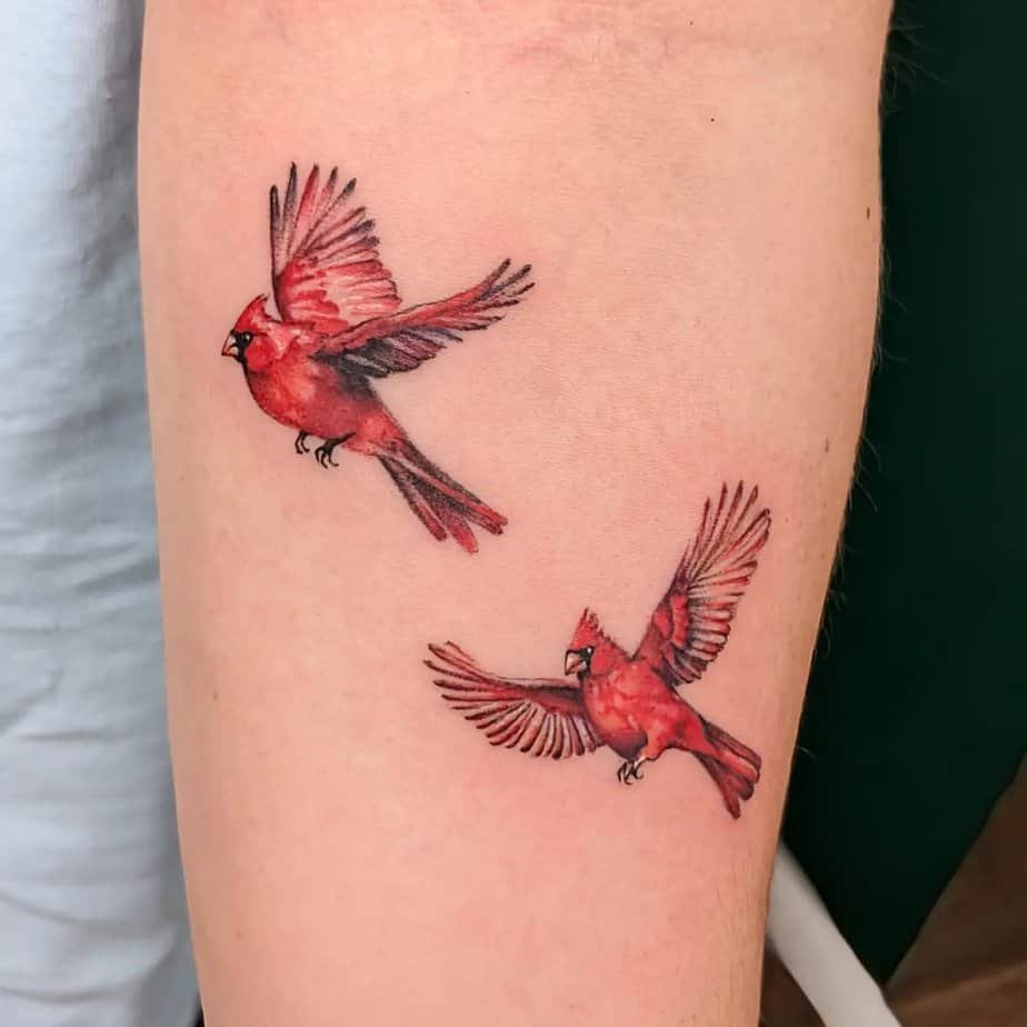 Two cardinals in flight