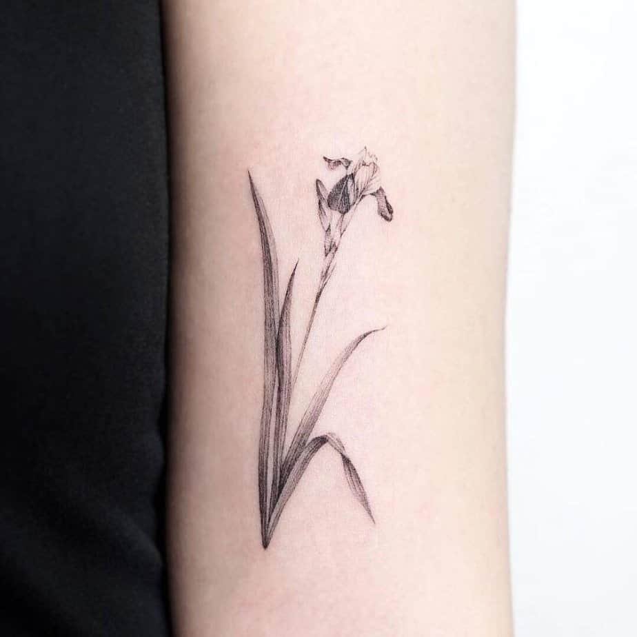 20 Iris Tattoo Ideas That Are Simply Petal Perfect