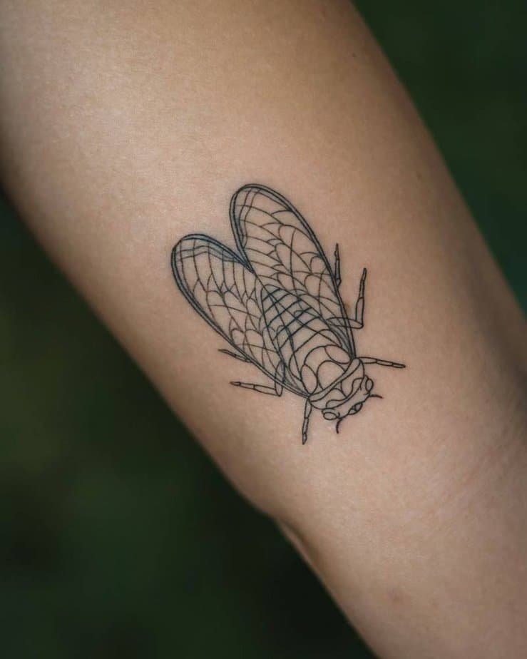Minimalist cicada tattoo