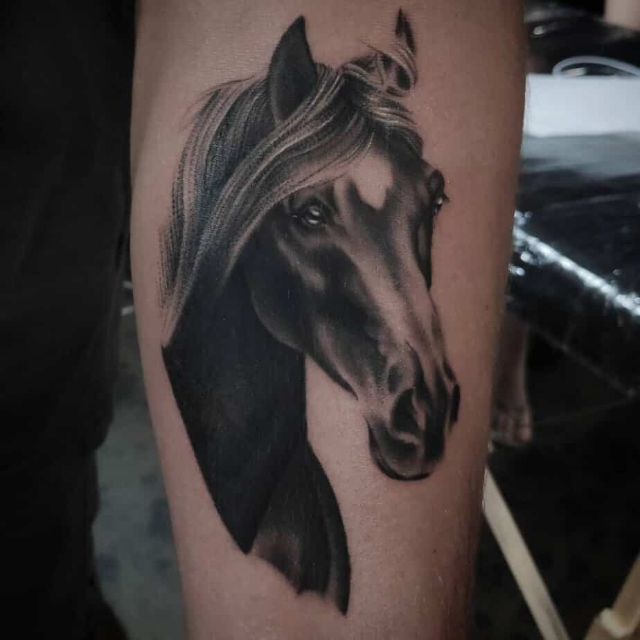 10. Realistic black and gray horse