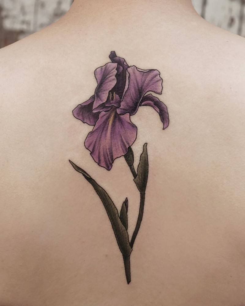 20 Iris Tattoo Ideas That Are Simply Petal Perfect
