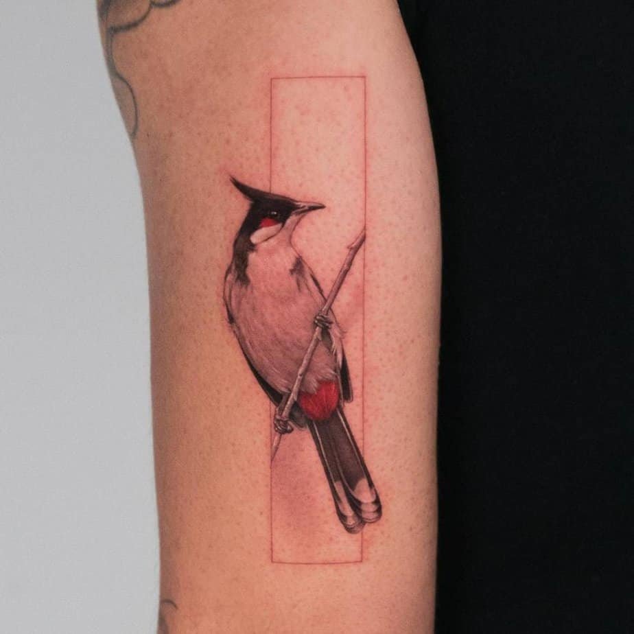 Modern cardinal with a geometric background