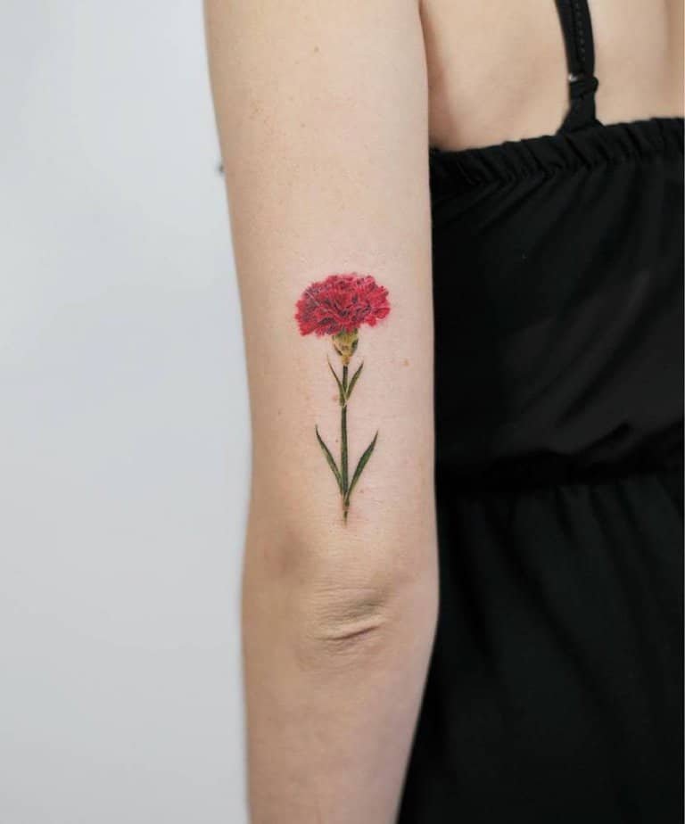Single red carnation
