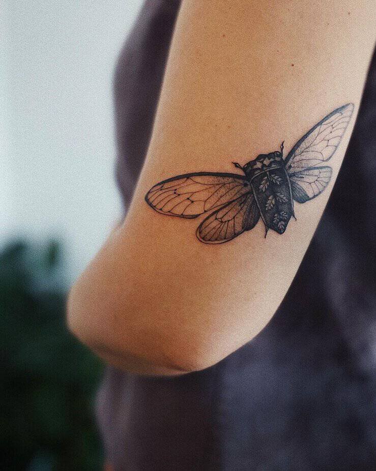 Vintage cicada tattoo