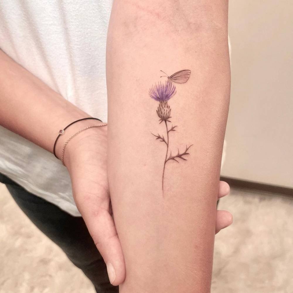 Thistle with a butterfly