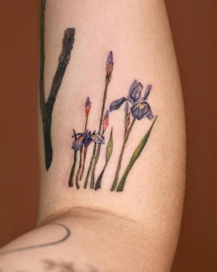 20 Iris Tattoo Ideas That Are Simply Petal Perfect