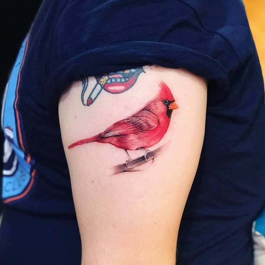 Realistic cardinal with branch detail