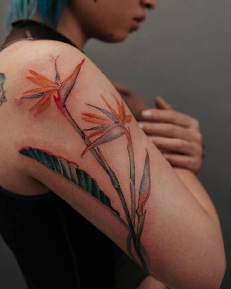 Realistic Bird of Paradise flower tattoo