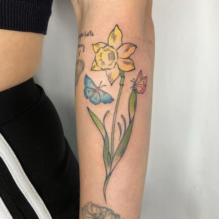 Daffodil-flowers-and-butterflies