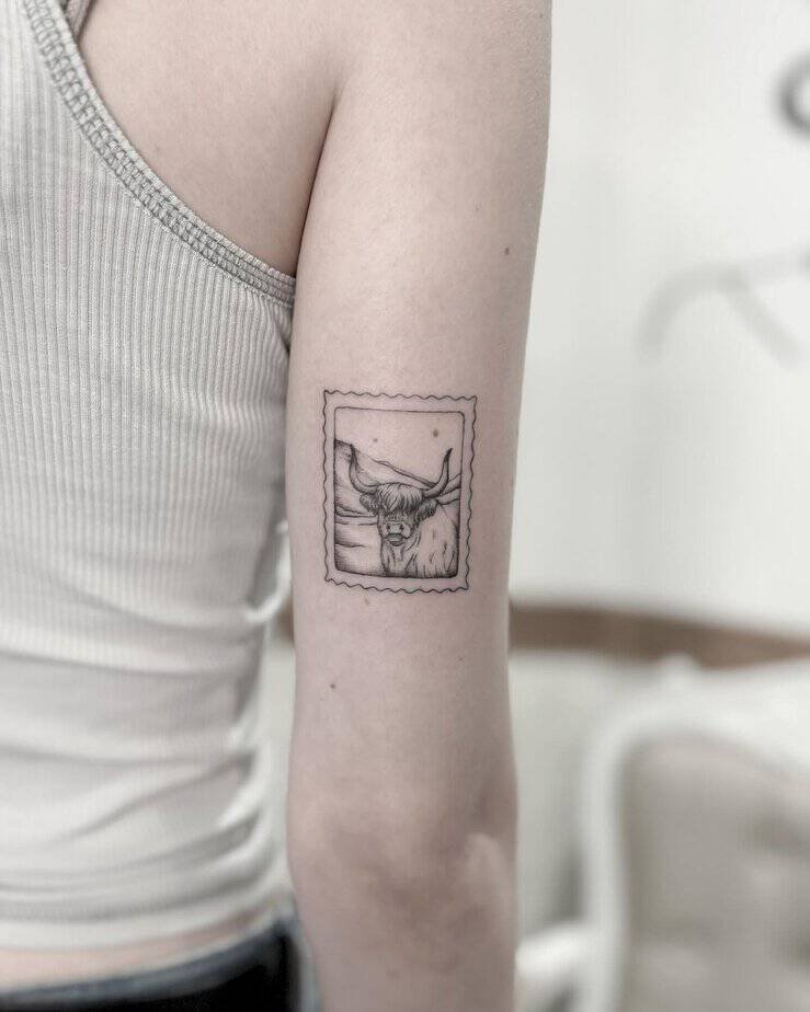 Highland cow tattoo