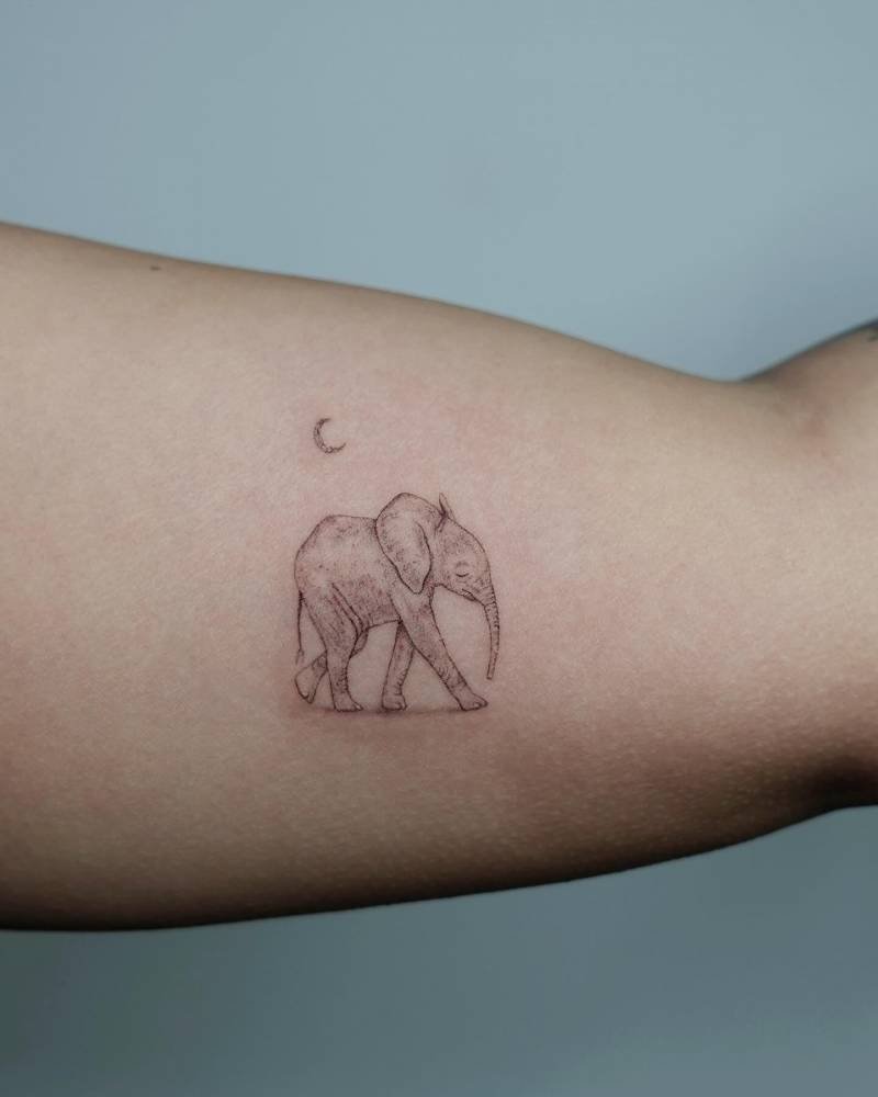 Illustrative elephant walking beneath crescent moon