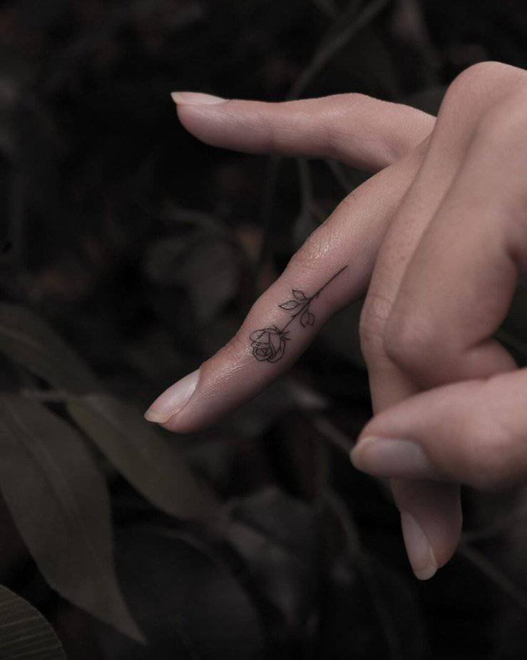 13. A rose
